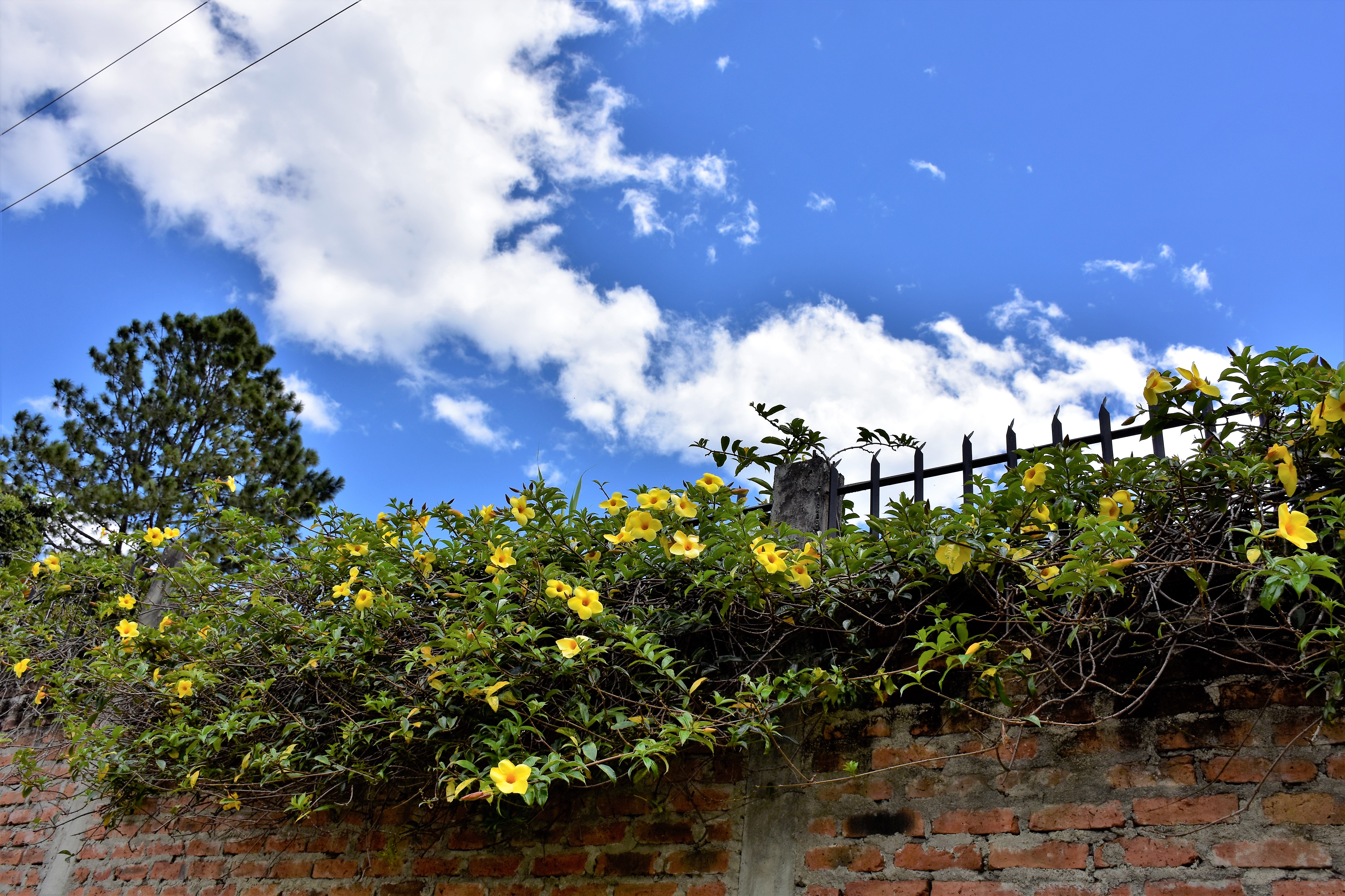 Loja to Vilcabamba IV