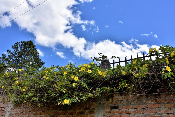 Loja to Vilcabamba IV