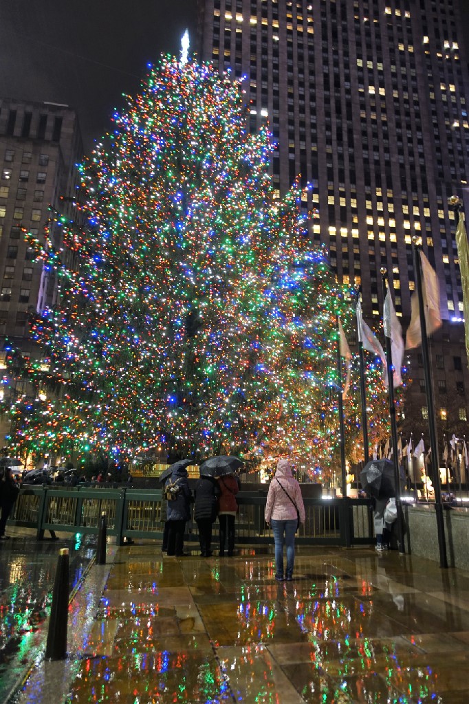DSC05287 Rockefeller Center