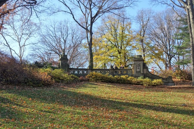 DSC05382 Central Park Fall Color