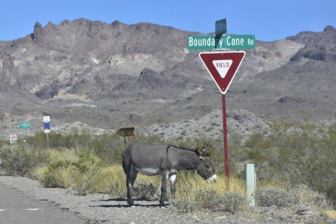 Route 66 Traffic Patrol II (2)